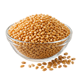Grains