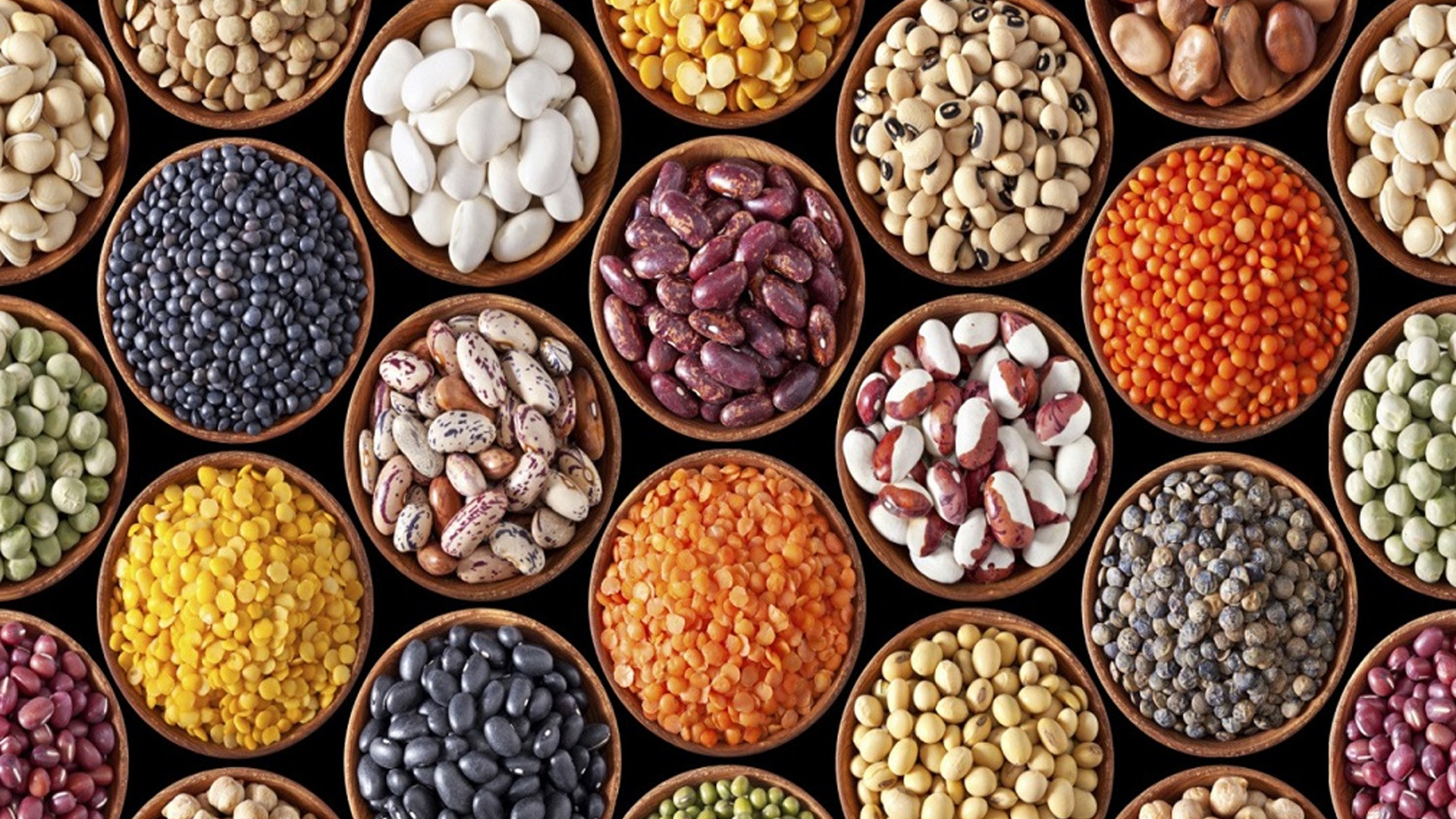 Oil Seed